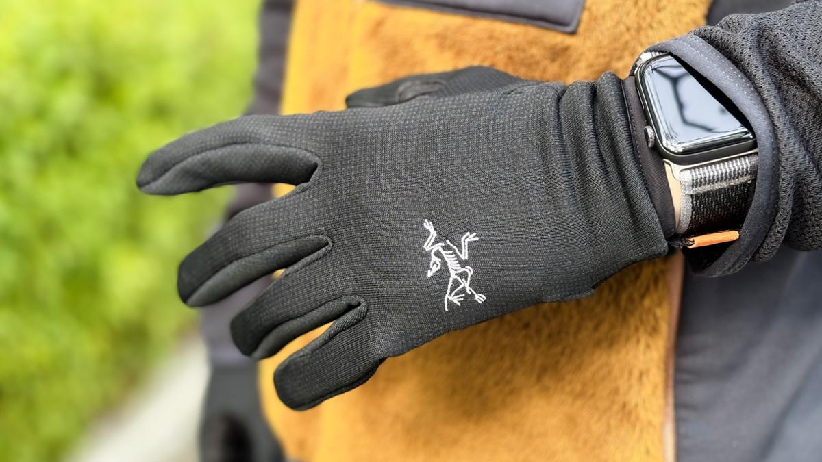 Arc'teryx（アークテリクス) ゴシックグローブ ARC'TERYX - アークテリクス ゴシックグローブの通販 by やまき2357's  shop