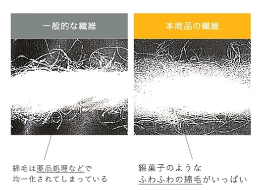 石鹸 コレクション 使わない 冬