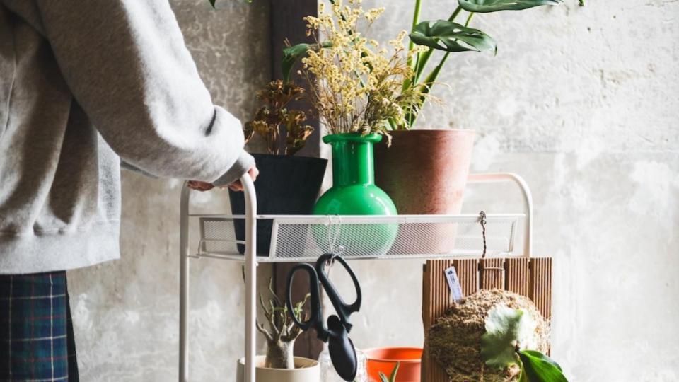 植物の冬越し問題の救世主！「IKEAの2000円で買えるワゴン」がデザイン