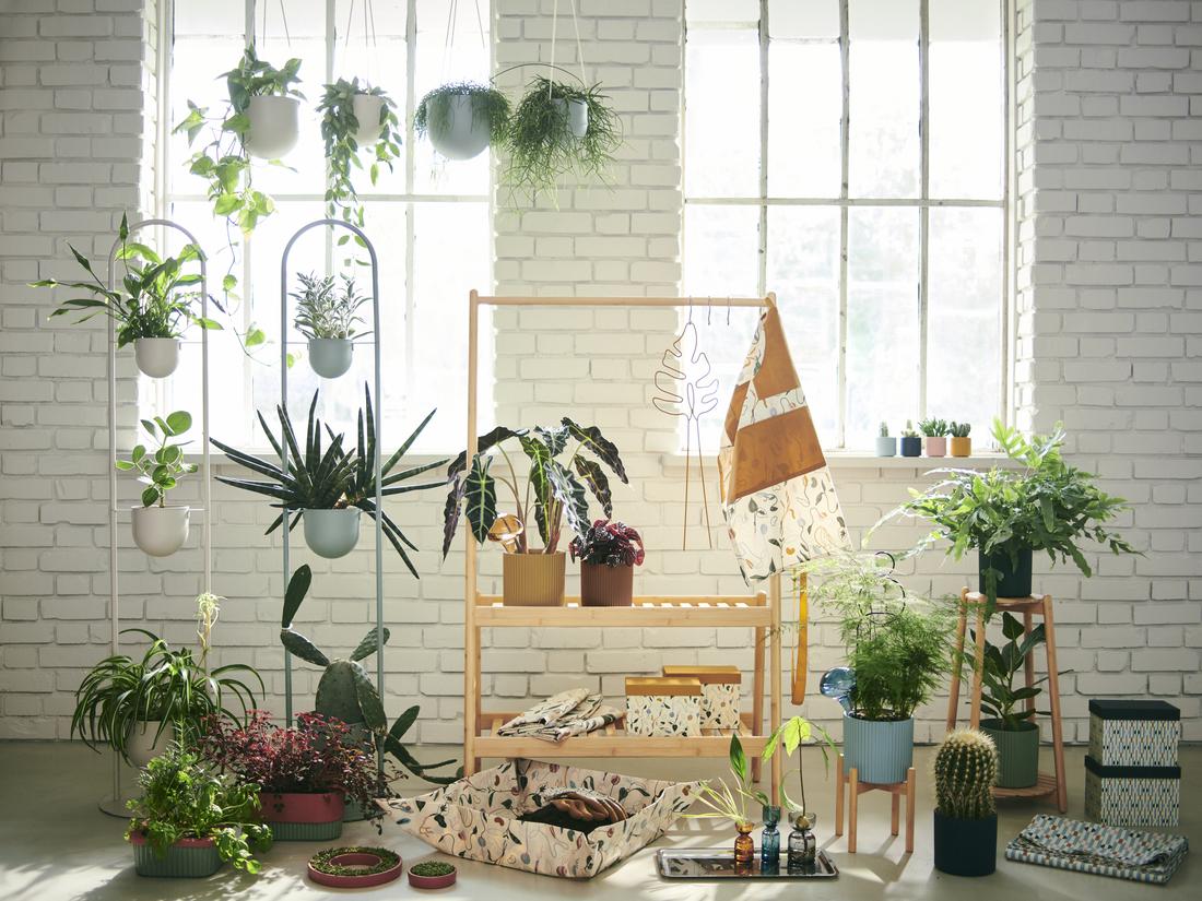 IKEAの新作は「自動で水やりしてくれる植木鉢」など植物アイテムが充実