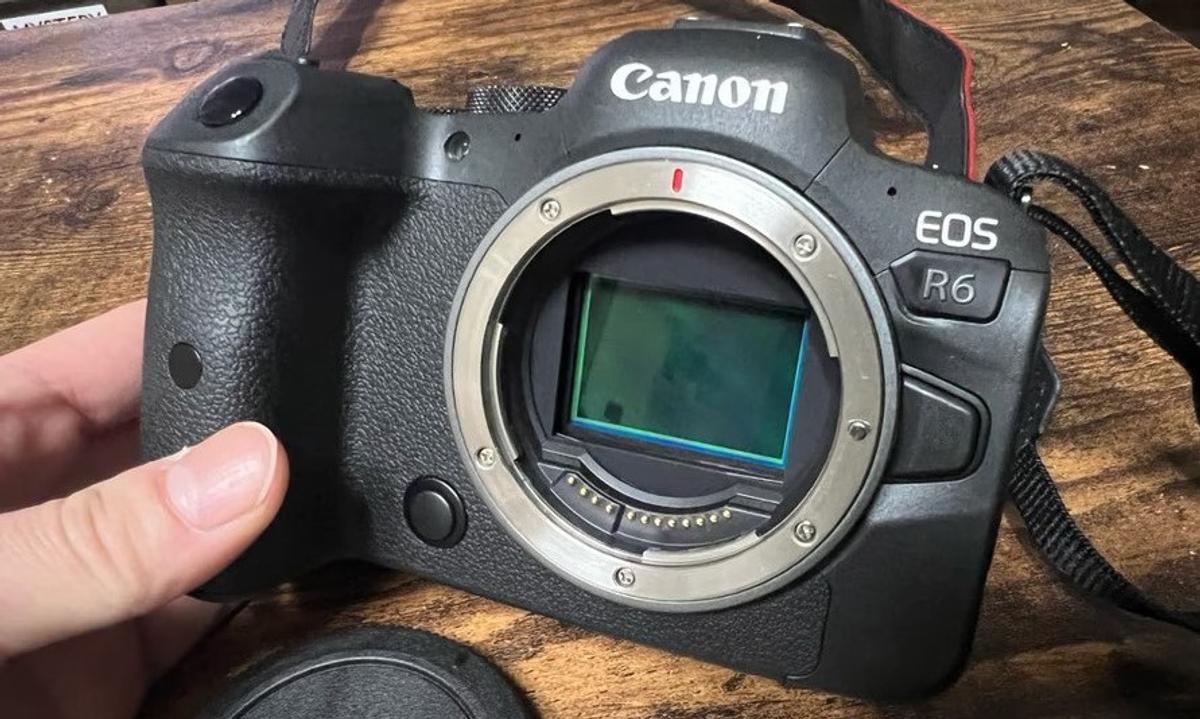 カメラを「EOS R6」に変えたら、撮影が超楽しくなった話。悩んだけれど 