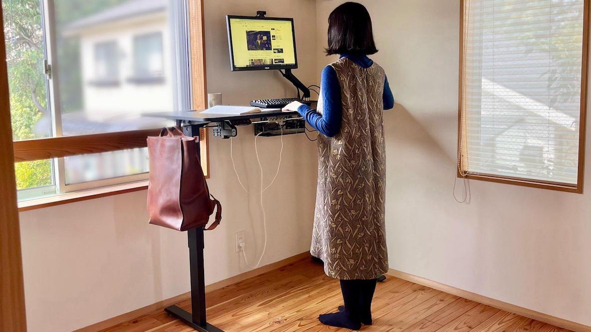 SANODESK 電動昇降式デスク E150 (120cm×60cm軽量化 FlexiSpot 昇降式デスク 電動 昇降デスク Sanodesk E150 Basic