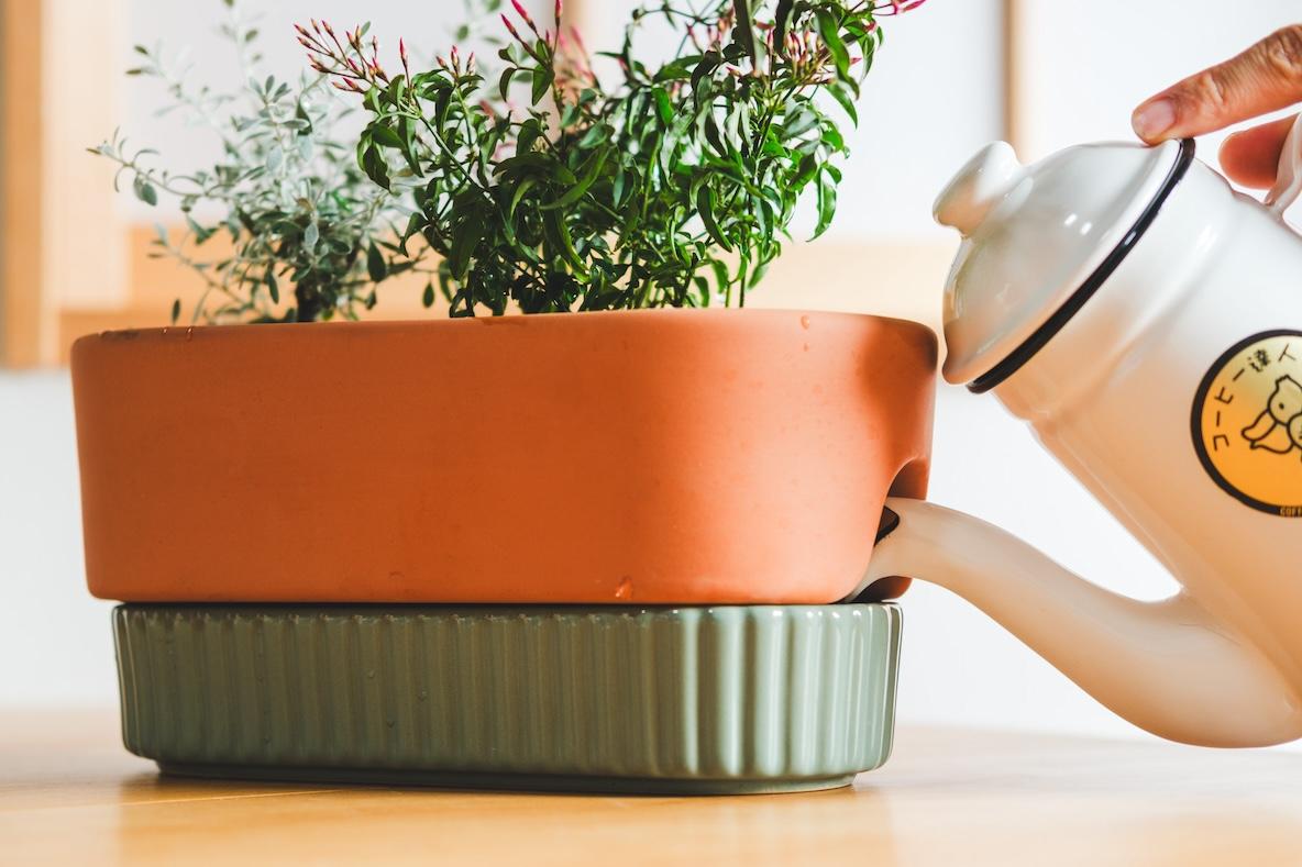 見た目も最高なIKEAの「自動水やり植木鉢」のおかげで植物がもっと身近