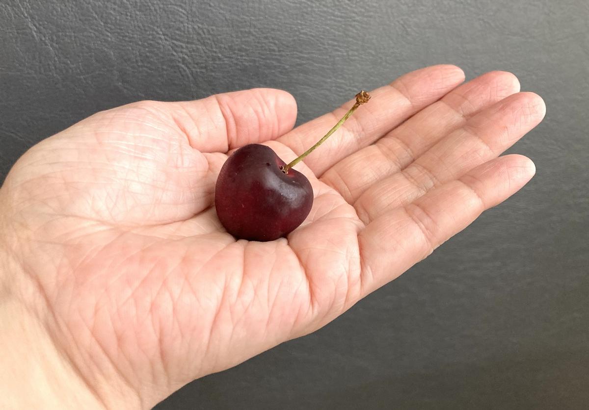 コストコ「アメリカンチェリー」