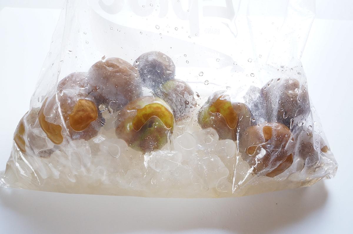 20240611_ayamesan_ph2_1