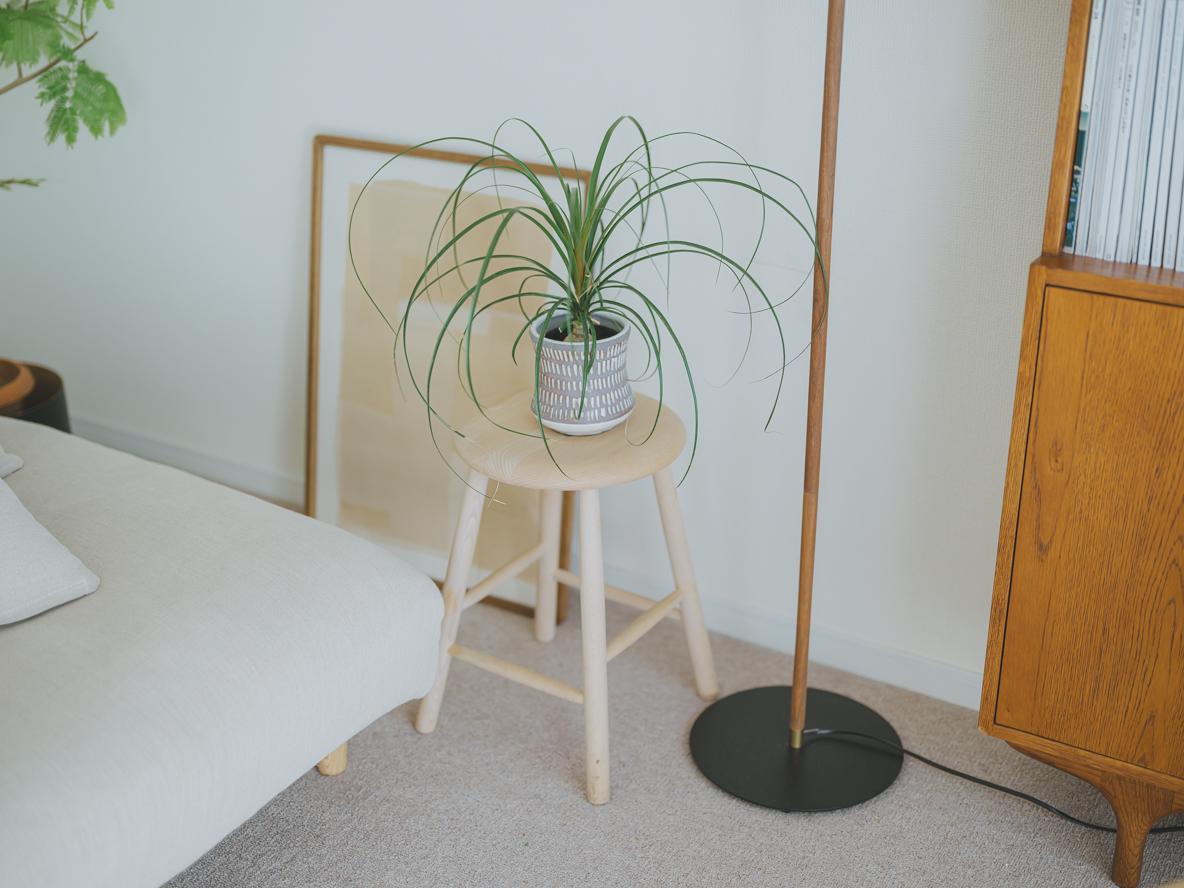 2LDKを北欧テイストに。インテリア会社勤務の彼女が惚れた“光と風