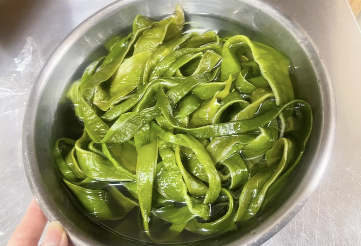 ひろた湾　茎わかめ