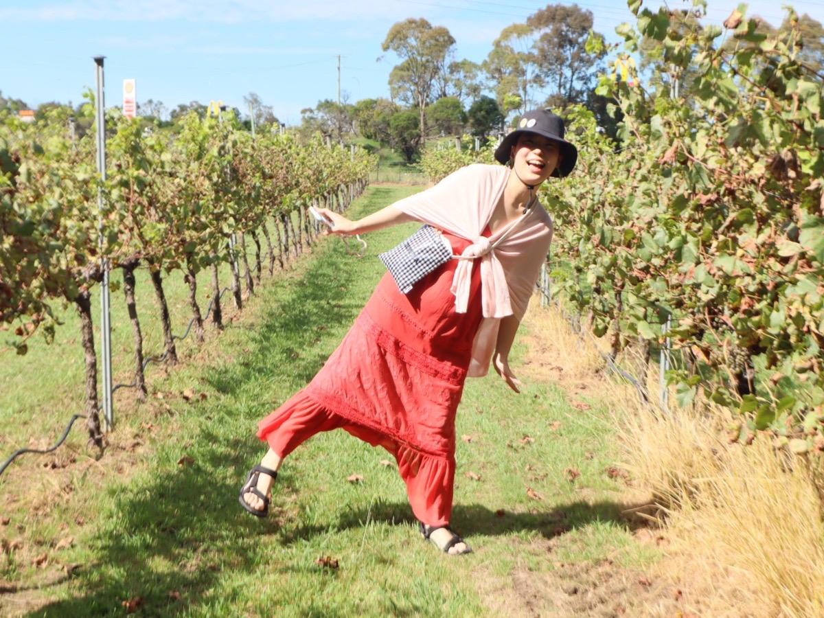 「レッドロックチップハニーソイチキン」