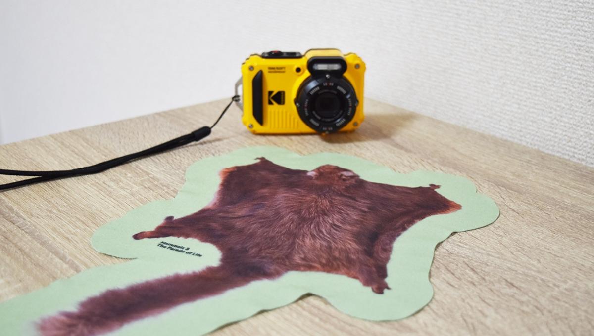 KODAK PIXPRO WPZ-2