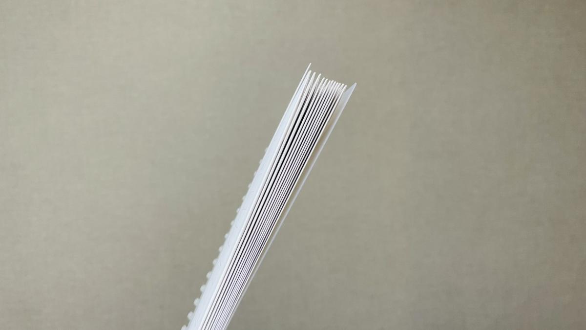 無印良品「リフィルノート リフィル 記録ができる家計簿封筒(A5・20穴・6枚)」