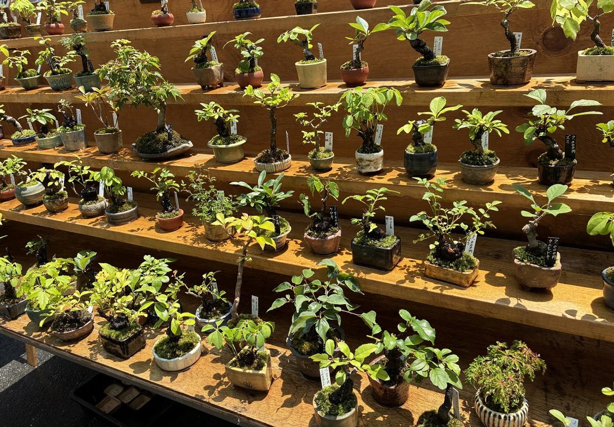 激冷えくん「ウェアクール」