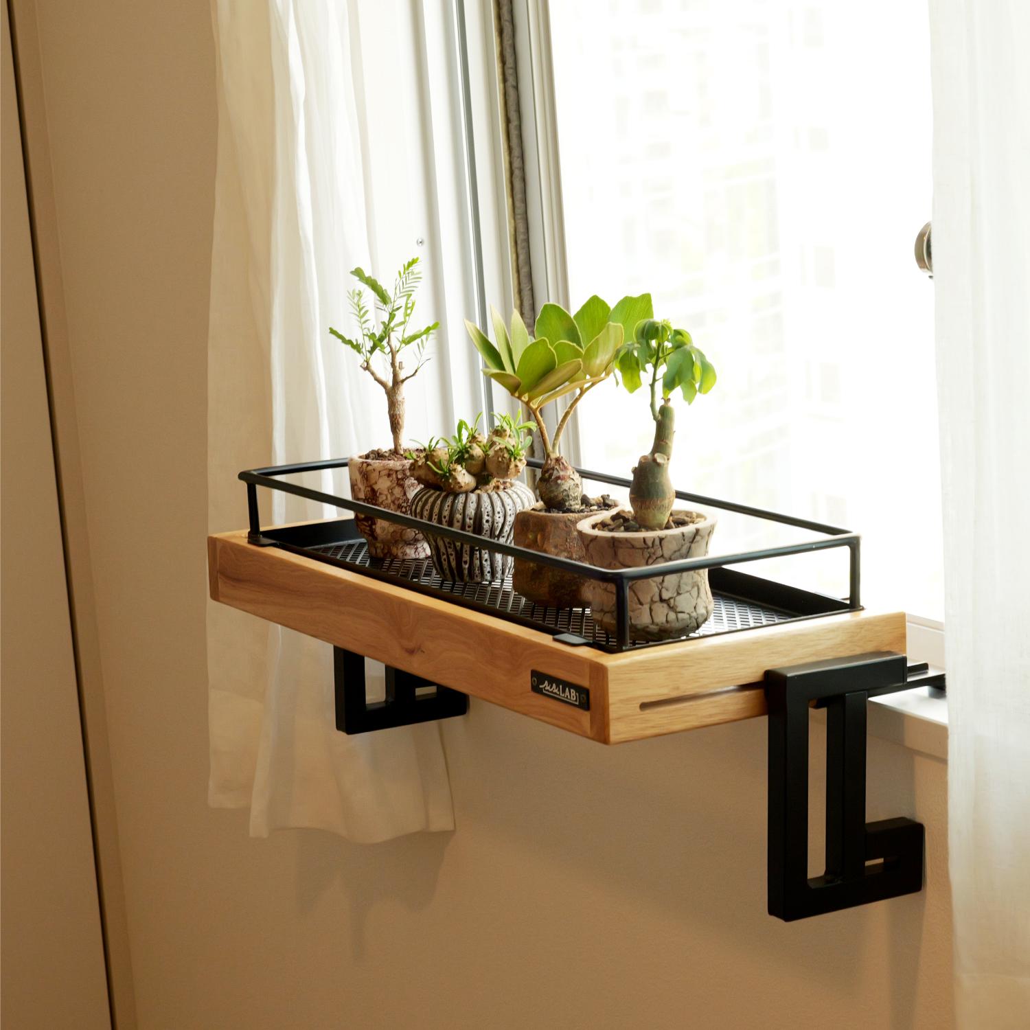 観葉植物、置きたいけど場所がない…。ネジ・釘不要のこれで「窓際に