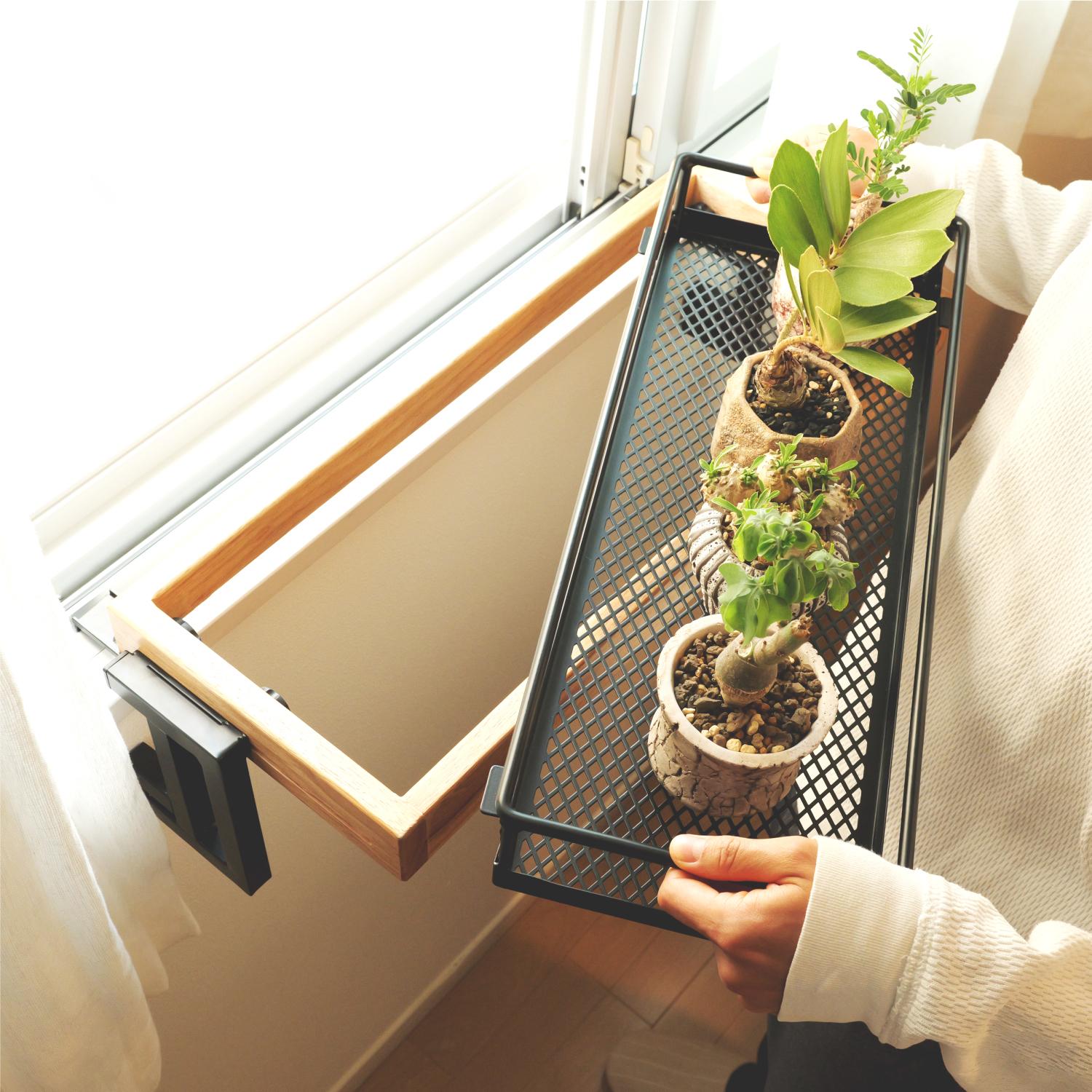 観葉植物、置きたいけど場所がない…。ネジ・釘不要のこれで「窓際に