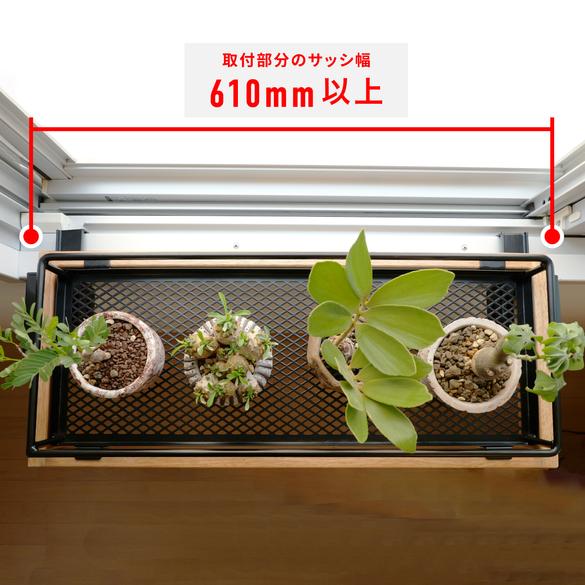 観葉植物 置きたいけど場所がない ネジ・釘不要のこれで 窓際に浮かせる が正解かも ROOMIEライターのコレ気になる