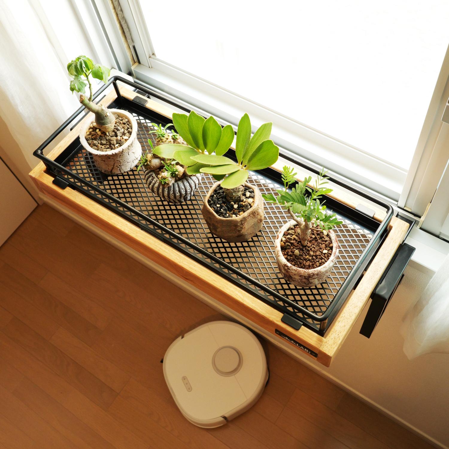 観葉植物、置きたいけど場所がない…。ネジ・釘不要のこれで「窓際に