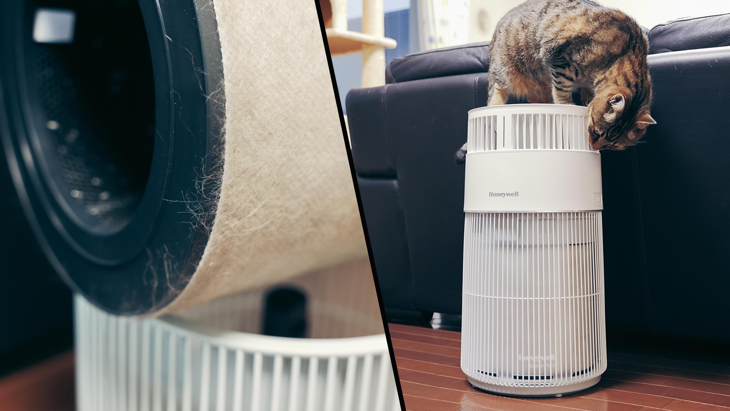 本物の生きた観葉植物を使った空気清浄機「ANDREA」 | ROOMIE