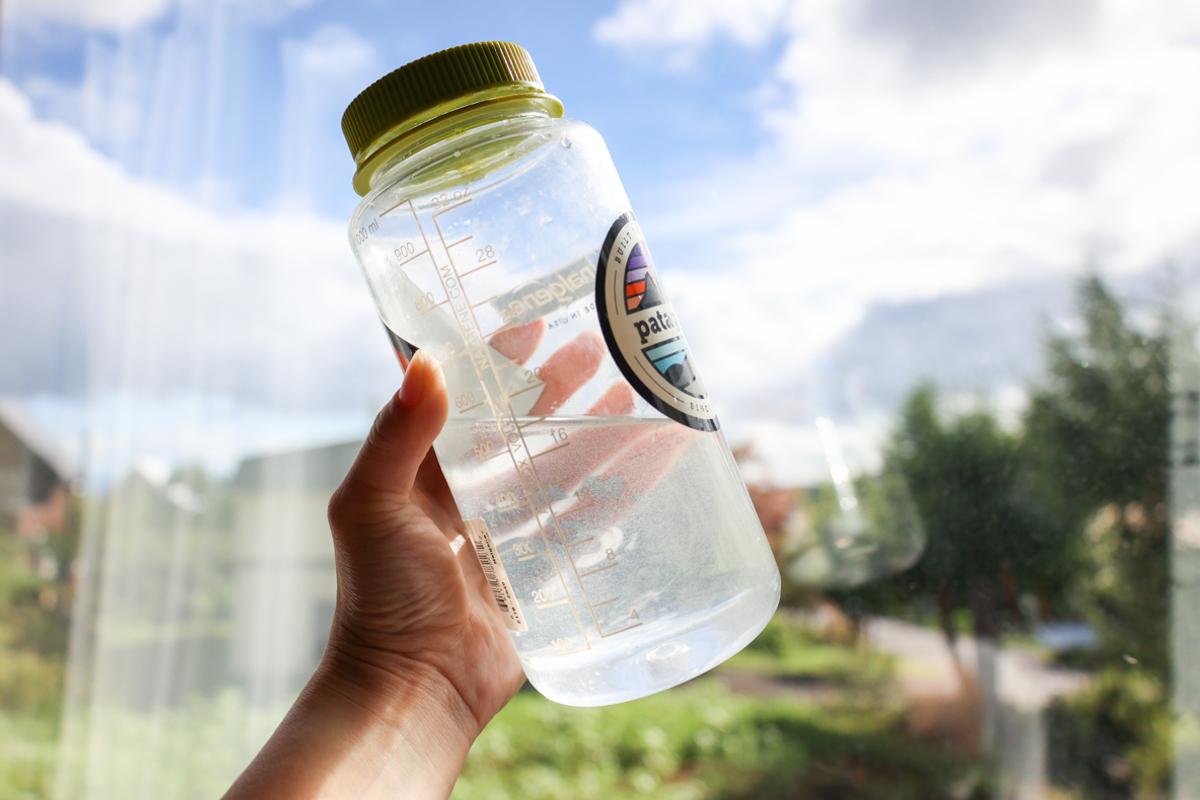 「まるごと巨峰くん」