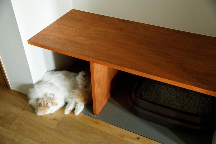 ベンチの下でくつろぐ こむちゃん