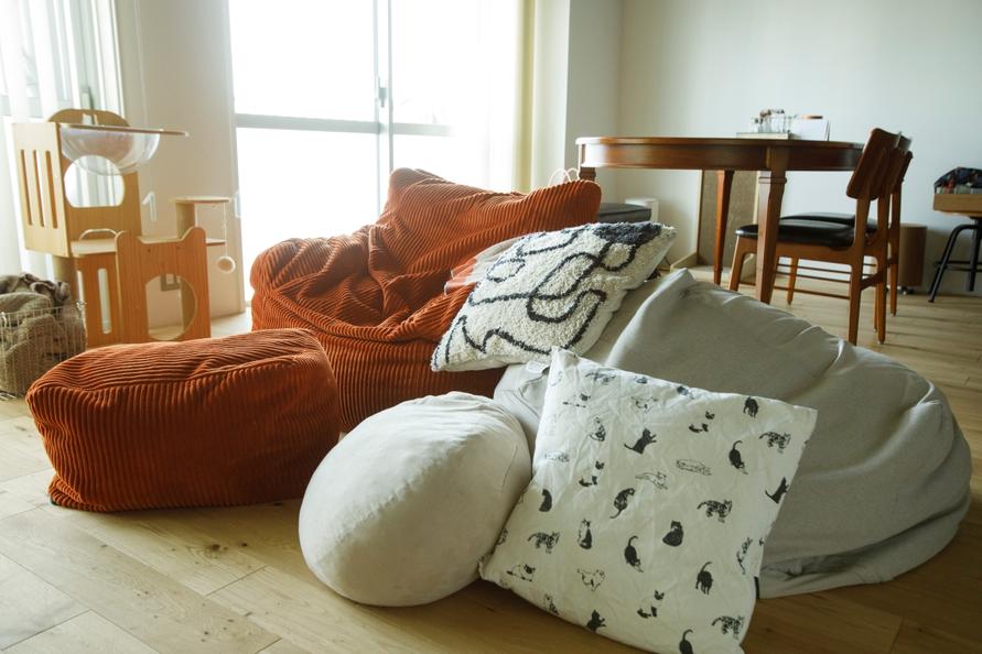 リビングのLOOSY(ルージー)のビーズソファと、無印良品のソファ