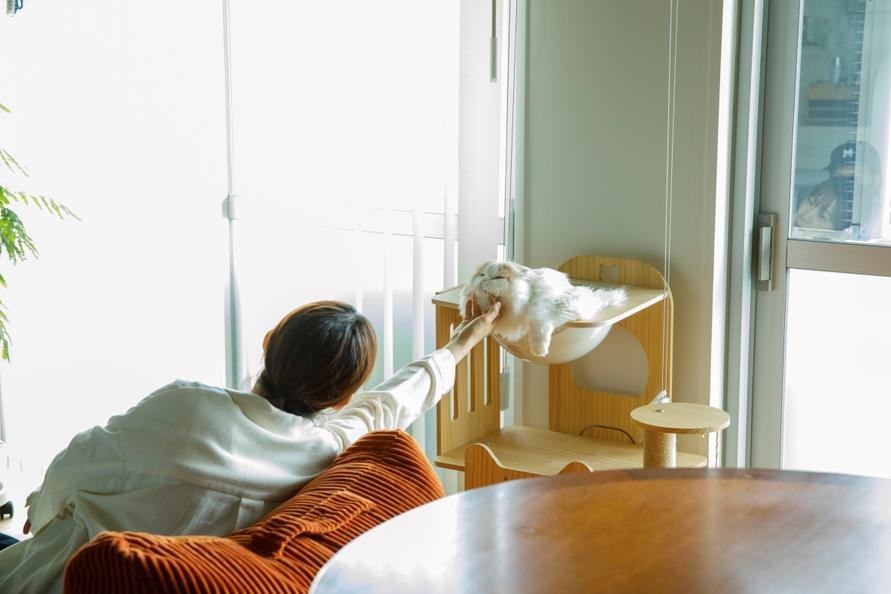 こむちゃんを触るハルナさん