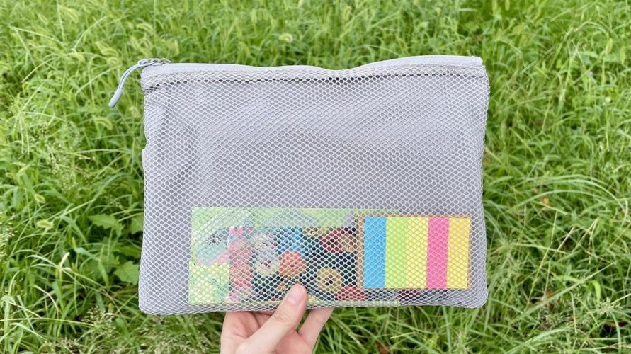 無印良品「ポリエステルダブルファスナーケース グレー L」