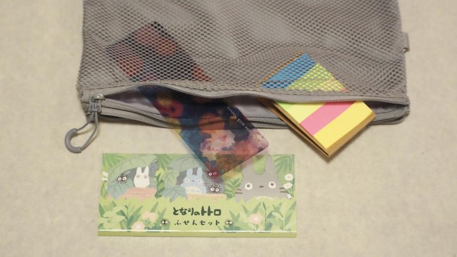 無印良品「ポリエステルダブルファスナーケース グレー L」