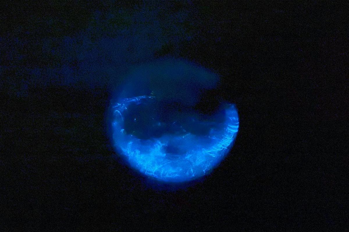 電気も電池も使わないのに。このガラス球、なぜ夜になると青白く光る