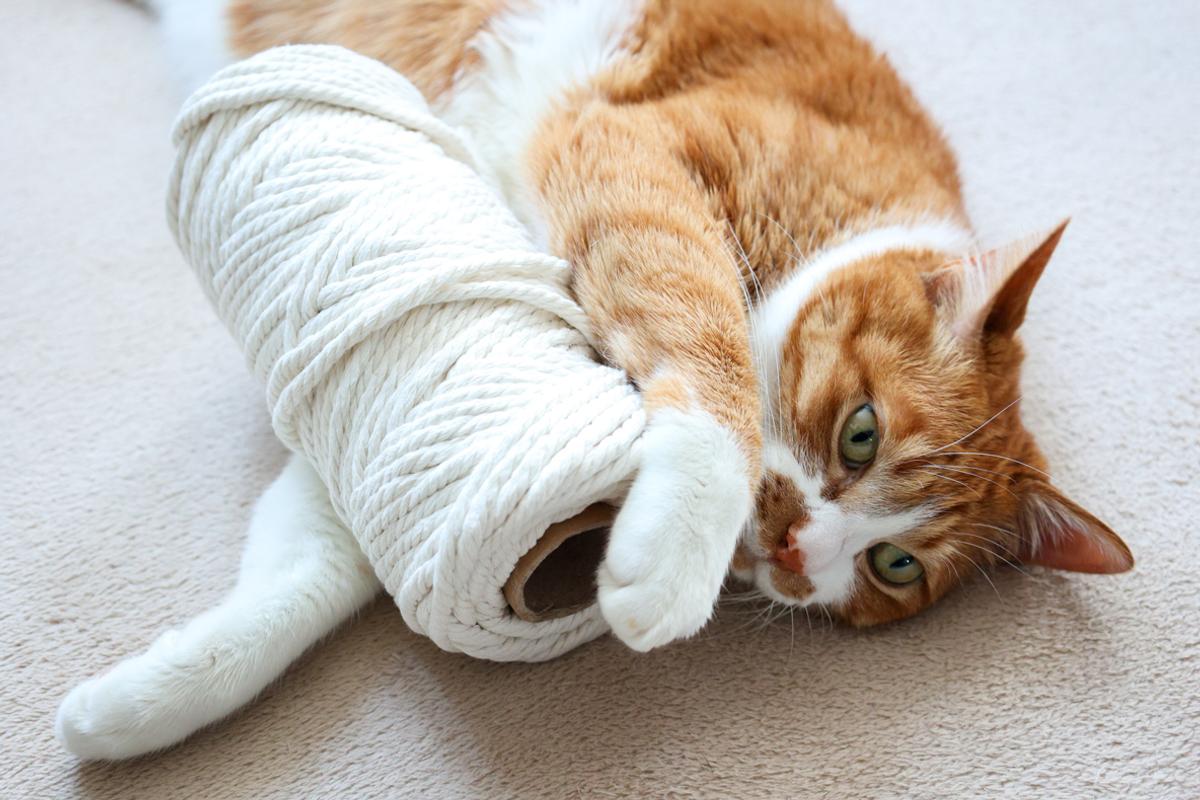 エステーラ「キャットタワーロープ」