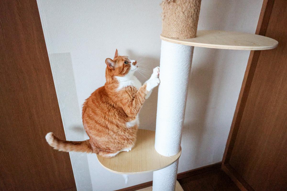 エステーラ「キャットタワーロープ」