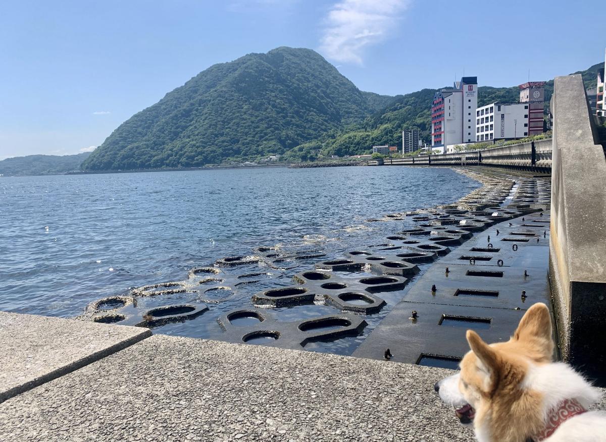 別府湾の風景