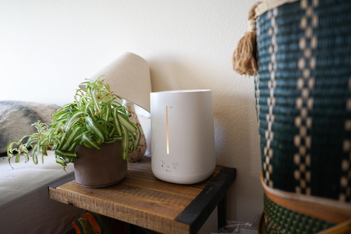 ニトリの「タンクを外せる加湿器」、秒で我が家の1軍家電になりました