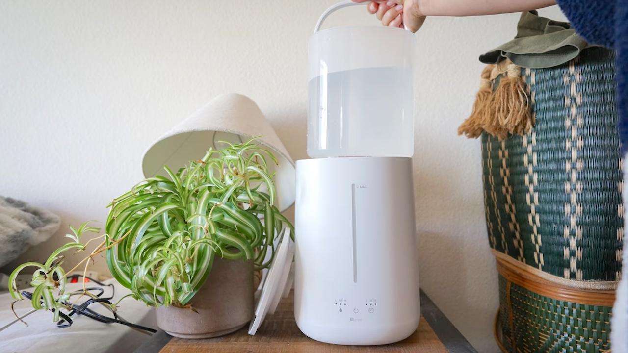 ニトリのコードレス加湿器】車の乾燥対策にぴったりな理由 | ROOMIE