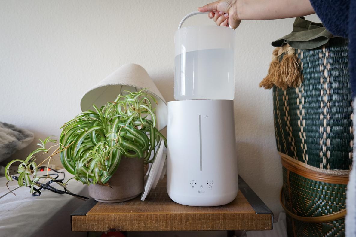 ニトリの「タンクを外せる加湿器」、秒で我が家の1軍家電になりました