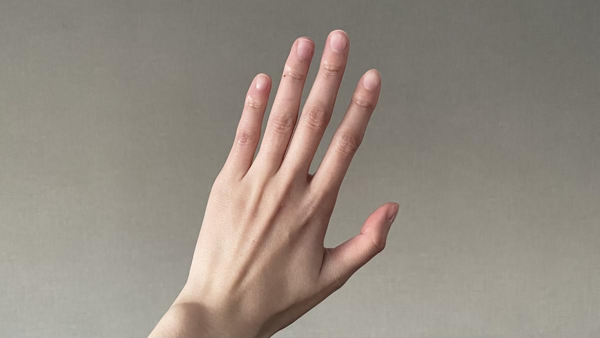 SHIRO「シアバタークリーム」