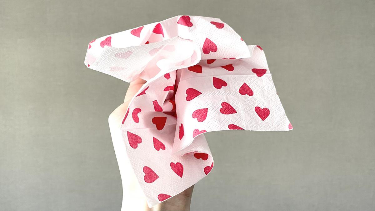 フライングタイガー「ティッシュ」