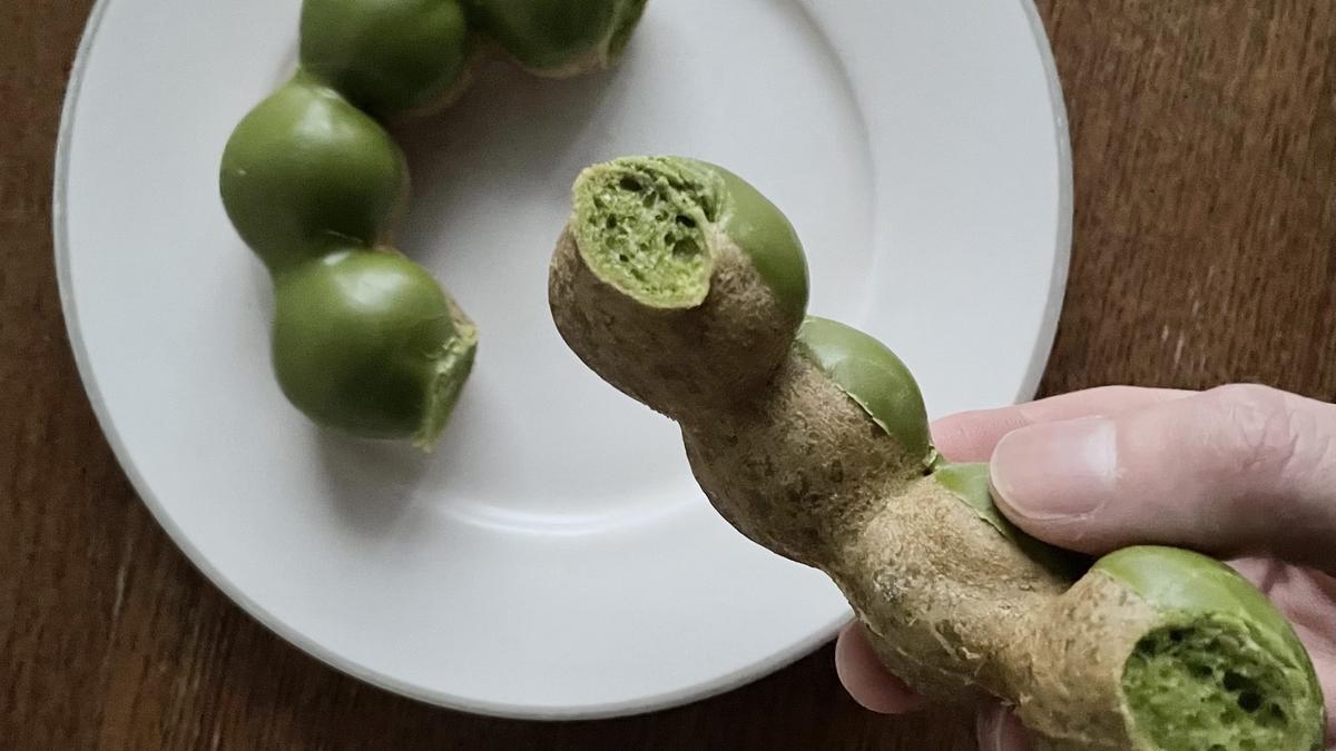 ミスタードーナツ「宇治抹茶ドーナツシリーズ」